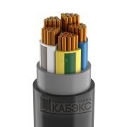 Кабель силовой ВВГнг(А)-LS 5х50 мк(N,PE)-0,66