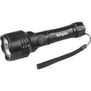 Фонарь светодиодный NPT-CP10-2AA 1LEDх0.5вт LED пластик