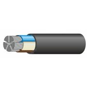 Кабель силовой АВВГнг(А)-LS 5х50,0 мс (N, PE)-0,66 ТРТС