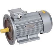 Электродвигатель трехфазный АИР 100L2 380В 5,5кВт 3000 об/мин 2081 DRIVE
