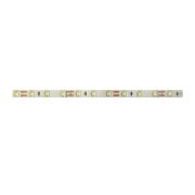 Лента светодиодная PLS PRO 2835/168-24V - 6000K IP20 5m Jazzway