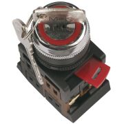 Переключатель AKS-22-2 с ключом 2 позиции I-O черная ручка